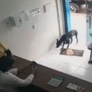 데이지동물병원 이미지