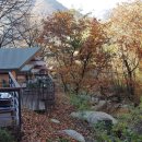 삼가-25 이미지