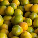 고운주유소 이미지