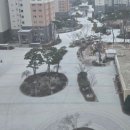 리틀대통령어린이집 | 12월 넷째주