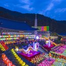 삼광사