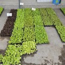 그린농자재 이미지