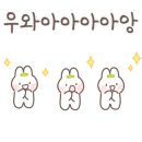인하선생
