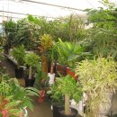 해피플라워 이미지