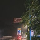 도라방스 | [제주도 또갈집] 싱싱잇 분위기 도라방스 내돈내산 솔직후기