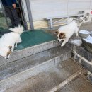 만호성 | [강진맛집] 최소 3살 젊어진다는 회춘탕 내돈내산 후기 &#39;석문정&#39;