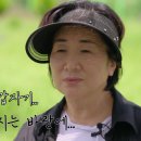 우연태양광발전소 이미지