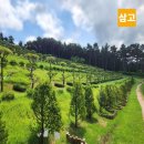 천주의성요한병원 | 천주의성요한병원장례식장 비용부터 가는길까지 실질적인 과정