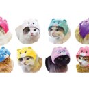 고양이 모자 이미지