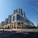 세종우체국 건너편 이미지