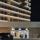 소노펠리체 델피노 이미지