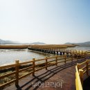 강진만 생태공원 이미지
