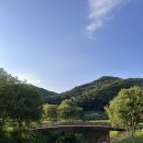 웅상파크골프 | 양산 웅상 서창 순대전골 맛집 [용암순대] 내돈내산 찐 후기