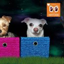 낭만애견 이미지