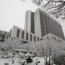 동아대학교 이미지