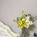위티스튜디오 이미지