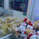 퍼니퍼니(FUNNY FUNNY) 이미지