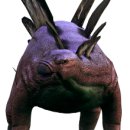 스테고사우루스-1 이미지