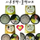 시루본떡