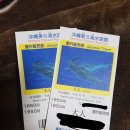 일본 오키나와 츄라우미 수족관 티켓 팝니다~ 이미지