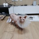 산소방