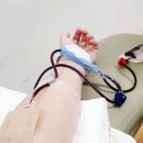 전주전자상점가 | 전주 대한적십자사 헌혈의 집🏥 헌혈하기🩸 전혈 상품권...버스 위치 + 공차 빠다 고구마 밀크티 리뷰 후기🥤