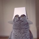 보들보들 이미지