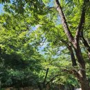 명가가든 이미지