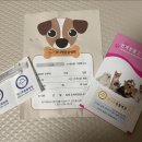 위니펫동물병원 이미지