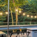 왕소나무길 이미지