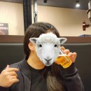 신봉체육공원 | 용인 수지 맛집 추천 제주좌씨네 요기고기 육즙 가득 성복동 맛집!