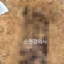 순천장의사