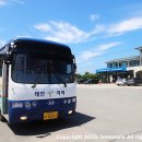 학암포 버스 종점 이미지