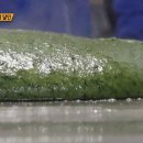 매일떡방앗간 - 김해시 진례로 243 | 매일떡방앗간