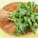 고수1로 이미지