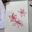 색연필 그림그리기 이미지