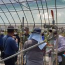 저팔계농장 이미지