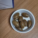 종합건강백화점 | 미국 판매 1위 남성 종합비타민 추천! <가든오브라이프 유기농 비타민> 리얼 후기(정관장 입점)