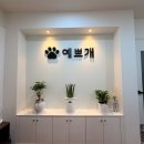 더 예쁘개 | 예쁘개 보령애견미용 하고 나니 우리 강아지가 더 신났어요