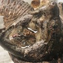 (주)거북 이미지