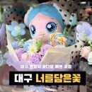 꽃담은 | 대구졸업식꽃다발부터 다육이 화분까지, 너를담은꽃 솔직 후기