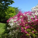 흥부마을 이미지