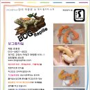 보그렙타일