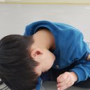 장산태권도 이미지