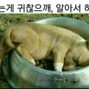 해탈? 이미지