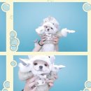 피디유피