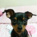 근수농장 이미지