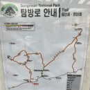 정기나무골 Daum카페