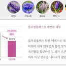오밀크대전