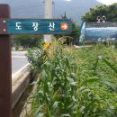 용유황토민박 네이버블로그